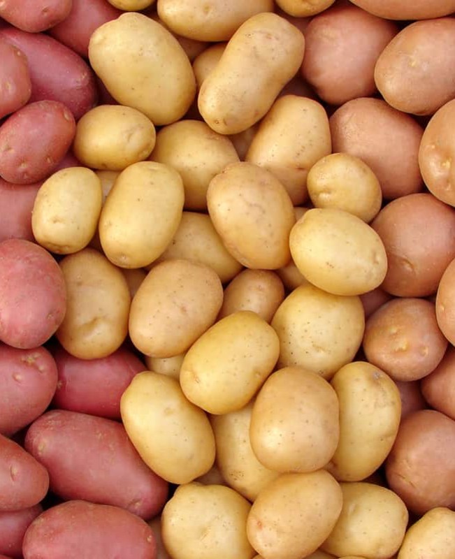 green-cardamom-exporters-in-UAE