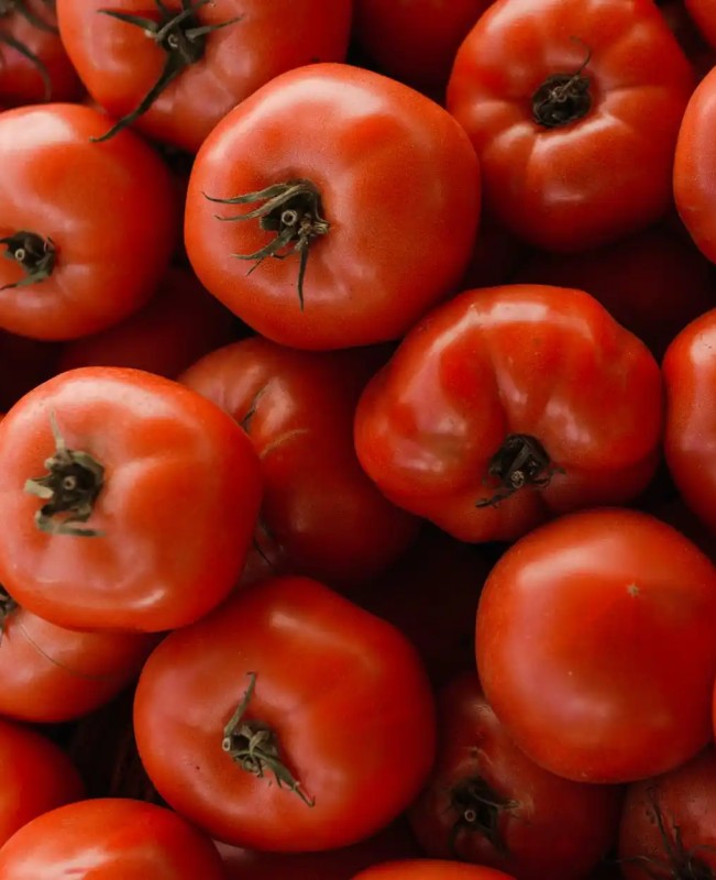 black-cardamom-suppliers-in-Dubai